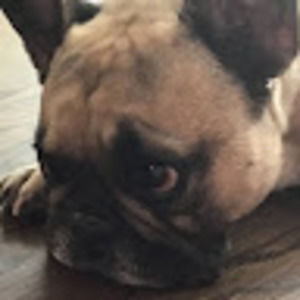 Meet your Posher, Hadleythehurricane